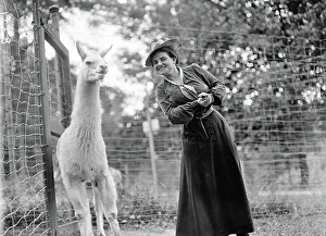 Journalist Gallery: Harriet Chalmers Adams at the zoo, 1912 (b/w photo)