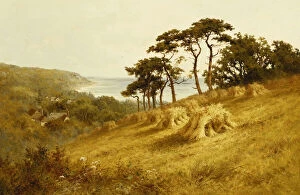 Harvest Time, Fairlight, Sussex, (oil on canvas)