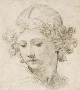 Head of an angel, looking down to the left (black chalk on paper) Head of an angel, looking down to the left (black chalk on paper)