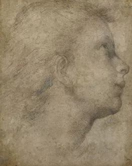 Head of an Angel in Profile looking up to the right, (black chalk on light brown paper)