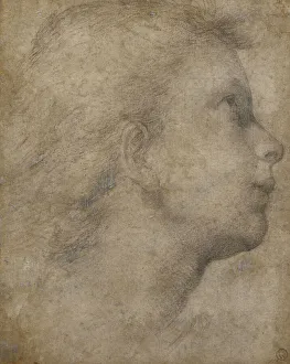 Head of an Angel in Profile looking up to the right, (black chalk on light brown paper) Head of an Angel in Profile looking up to the right, (black chalk on light brown paper)