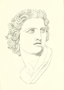 Head, displaying manly vigour and heroic resolution (engraving) Head, displaying manly vigour and heroic resolution (engraving)