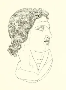 Head, displaying manly vigour and heroic resolution (engraving) Head, displaying manly vigour and heroic resolution (engraving)
