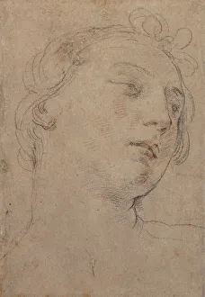 The Head of Europa, (red and black chalk on grey-blue paper) The Head of Europa, (red and black chalk on grey-blue paper)