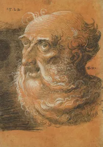 Head Study, 1522 (charcoal and white chalk on paper) Head Study, 1522 (charcoal and white chalk on paper)