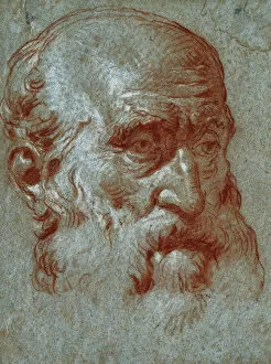 Head of a Venetian Patrician, Three-Quarter Face, (red and white chalk on grey-blue paper