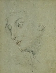 The Head of a Woman Looking Down to the Left, (black and red chalk, on grey-green paper) The Head of a Woman Looking Down to the Left, (black and red chalk, on grey-green paper)