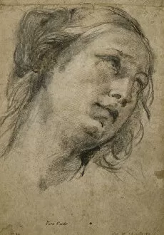 Head of a Woman Looking up to the Right, (black, red and white chalk on light brown paper