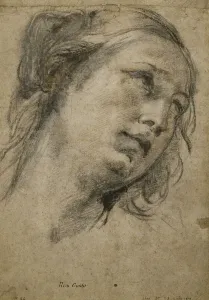 Head of a Woman Looking up to the Right, (black, red and white chalk on light brown paper Head of a Woman Looking up to the Right, (black, red and white chalk on light brown paper