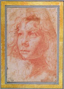 Head of a young boy turned to the left (red chalk on paper) Head of a young boy turned to the left (red chalk on paper)