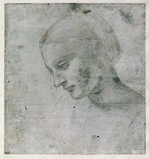 Contemplation Gallery: Head of a Young Woman or Head of the Virgin, c.1490 (silverpoint on paper)