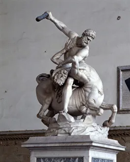 Hercules Killing the Centaur (marble) (see also 353893-4) Hercules Killing the Centaur (marble) (see also 353893-4)