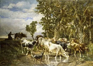 Herd of Cows at a Drinking Pool, (oil on canvas)