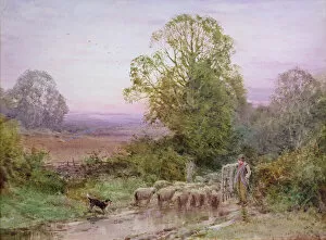 Henry John Sylvester Stannard Gallery: Herding the Sheep (w / c)