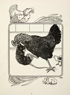 Abraham Drentwett Gallery: The Heroism of a Hen, from A Hundred Anecdotes of Animals, pub. 1924 (engraving)