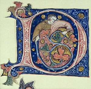 Images Dated 12th September 2006: Historiated initial D depicting a man holding a vine (vellum)