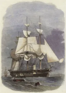 HM steam corvette Racoon (coloured engraving) HM steam corvette Racoon (coloured engraving)