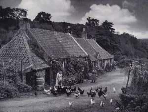 East Lothian Gallery: Homely duties at wayside cottages near Spott, East Lothian (b / w photo)