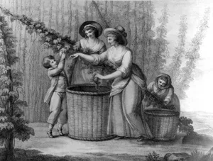 Hop Pickers, engraved by William Dickinson, 1803 (engraving) Hop Pickers, engraved by William Dickinson, 1803 (engraving)