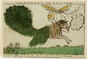 Political Cartoon Gallery: The Hornet and Peacock, or, John Bull in distress, 1813 (etching with engraving)