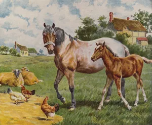 Horse and foal, sheep and hens (colour litho) Horse and foal, sheep and hens (colour litho)