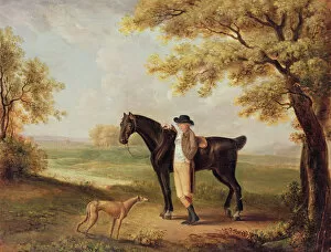 Fine Art Collection: Horse, rider and whippet