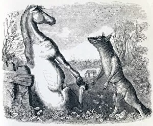 The horse and the wolf (Le cheval et le loup) - Fables by La Fontaine