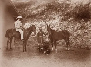 Horses at Simla, Queen Mab and Gladys (b/w photo) Horses at Simla, Queen Mab and Gladys (b/w photo)