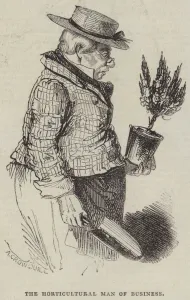 The Horticultural Man of Business (engraving) The Horticultural Man of Business (engraving)
