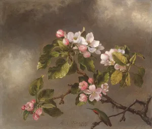 Hummingbird and Apple Blossoms, 1875 (oil on canvas) Hummingbird and Apple Blossoms, 1875 (oil on canvas)