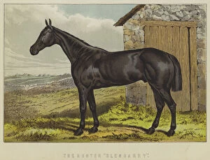 The Hunter 'Glengarry' (colour litho)