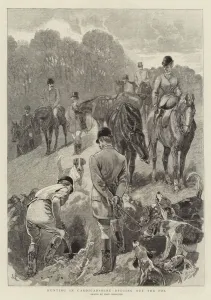 Cardiganshire Gallery: Hunting in Cardiganshire, digging out the Fox (engraving)