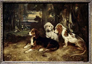 Hunting dogs at rest Painting by Alexandre Gabriel Decamps (1803-1860) 1839 Sun Hunting dogs at rest Painting by Alexandre Gabriel Decamps (1803-1860) 1839 Sun