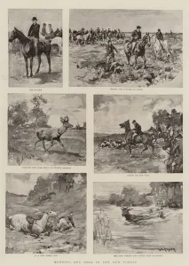 Hunting Red Deer in the New Forest (litho) Hunting Red Deer in the New Forest (litho)