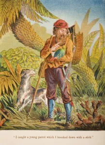 I caught a young parrot which I knocked down with a stick I caught a young parrot which I knocked down with a stick