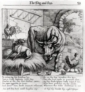 Illustration for The Dog and the Ox, from Aesops Fables, 1666 (engraving) Illustration for The Dog and the Ox, from Aesops Fables, 1666 (engraving)