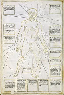 Illustration from Fasciculus medicinae Venice, 15th century (woodcut) Illustration from Fasciculus medicinae Venice, 15th century (woodcut)