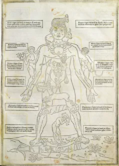 Illustration from Fasciculus medicinae Venice, 15th century (woodcut) Illustration from Fasciculus medicinae Venice, 15th century (woodcut)