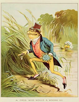 Images Dated 13th January 2011: Illustration from A Frog He Would A-Wooing Go (w / c on paper)
