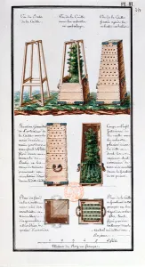 Illustration of a special cabinet for transporting shrubs and bushes Illustration of a special cabinet for transporting shrubs and bushes