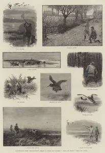 Brent Gallery: Illustrations from 'The Badminton Library of Sports and Pastimes', 'Moor and Marsh