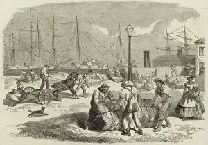 Illustrations of the War in America (engraving)