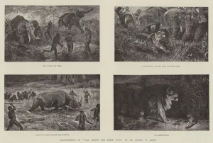 Illustrations of 'Wild Beasts and their Ways, ' by Sir Samuel W Baker (engraving) Illustrations of 'Wild Beasts and their Ways, ' by Sir Samuel W Baker (engraving)