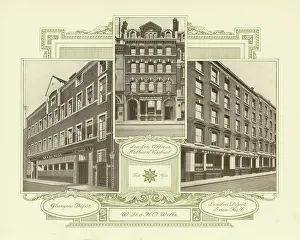 british american tobacco board British American Tobacco