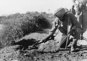 An Indian soldier searching for mines with a metal detector (b/w photo) An Indian soldier searching for mines with a metal detector (b/w photo)