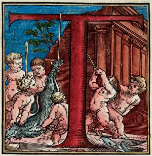 Initial T, detail from a page of De Humani Corporis Fabrica Libri Septem' Initial T, detail from a page of De Humani Corporis Fabrica Libri Septem'