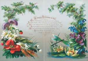 Insects and Flowers, Christmas Card (chromolitho) Insects and Flowers, Christmas Card (chromolitho)