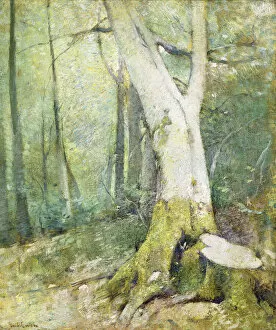 Images Dated 28th July 2011: Interior Woodland, (oil on canvas)