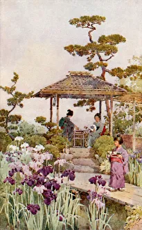 Ella Du Cane Gallery: An Iris Garden (colour litho)