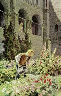 Flowerbed Gallery: Iron John (colour litho)